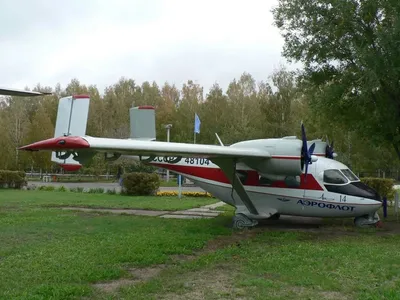 Самолёт в виде пчелы» — создано в Шедевруме