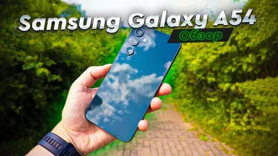 ᐉ Чехол Flip Wallet Cover для Samsung Galaxy A40 (А405) EF-WA405PWEGRU -  White (211314W): купить, цена. Смотреть отзывы, обзор - Galaxy Store