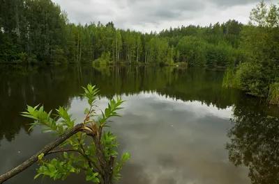 Сверхширокоугольный объектив Samyang 14mm f/2.8 на КРОПе и на фуллфрейме.  Обзор, тест и примеры фотографий | Блог начинающего фотографа и  путешественника