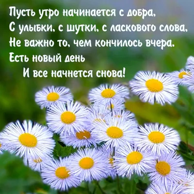 Купить Одни на всем белом свете (Ульф Н. ) в Минске и Беларуси за 23.19 руб.