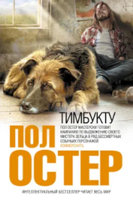 Собачья жизнь: 10 самых грустных книг о четвероногих - Афиша bigmir)net
