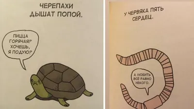 Коты и люди, Богдан Филатов – скачать книгу fb2, epub, pdf на ЛитРес
