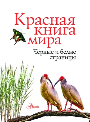 Стерилизовать нельзя бездействовать - где следует поставить запятую?