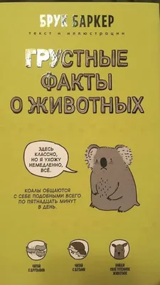 Самые нежные объятия: в Сети показали котов, которые очень любят своих  хозяев (ФОТО): читать на Golos.ua