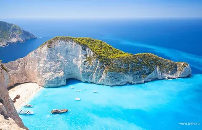 Самые красивые кошки в мире (27 фото)