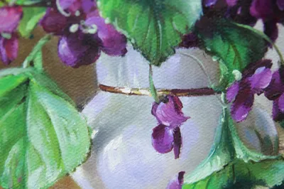 Продаются очень красивые коллекционные цветущие фиалки: 65 000 сум -  Комнатные растения Ташкент на Olx