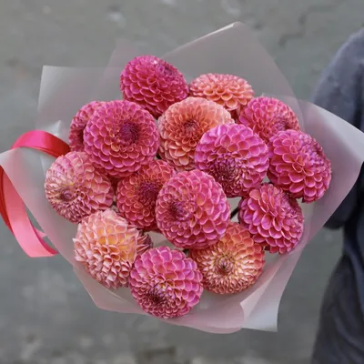 Букет из персиковых георгин - заказать доставку цветов в Москве от Leto  Flowers