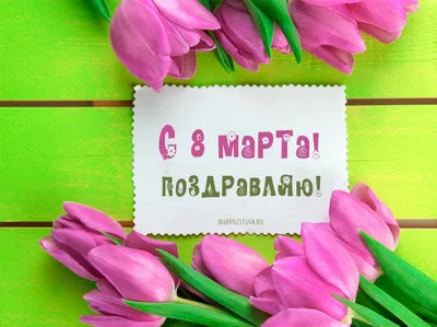 С праздником весны! Поздравляем с 8 марта!