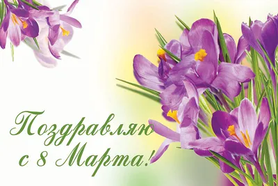 Поздравления с 8 Марта: самые красивые открытки и пожелания - МЕТА