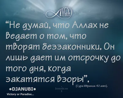 Картинки ислам цветы (68 фото) » Картинки и статусы про окружающий мир  вокруг