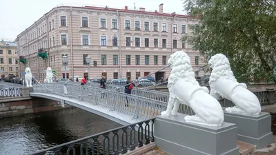 Пособие по Санкт-Петербургу. Что посмотреть и чем заняться в Северной  столице | Красивые места, Замечательные места, Пейзажная фотография