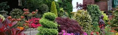 Самые популярные цветущие кустарники для сада и правила их выращивания