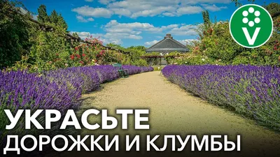 Красивые названия цветов - блог Florina Харьков