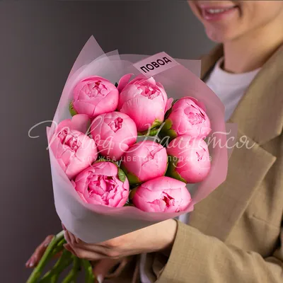 Самые красивые цветы пионы Stock Photo | Adobe Stock