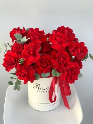 Очень красивые розы картинки - 69 фото