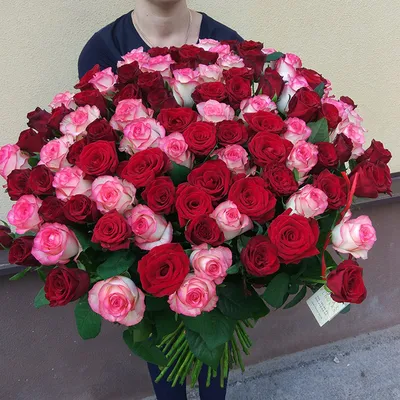 Розы черноморского побережья самые красивые розы в мире. #розы | Красивые  розы, Розы, Побережье