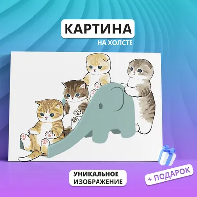 Самые милые котики! Посмотрите эту фотоподборку! | КОШак | Дзен