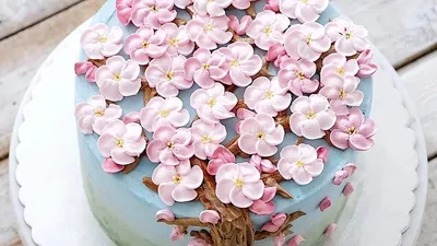 Изображения самых красивых тортов для скачивания