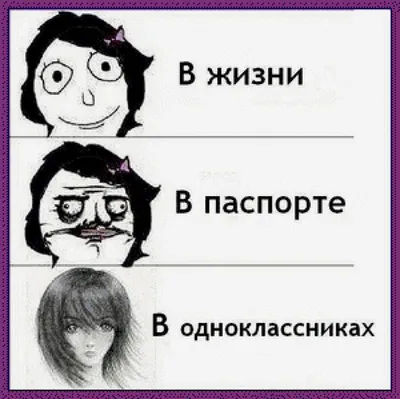 Строгие коты и летающие собаки. Самые смешные фото животных 2023 | Правмир