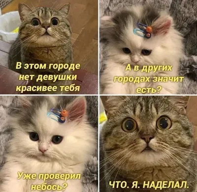 Самые прикольные рисунки - 62 фото