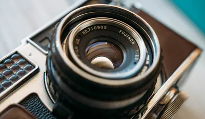 Определены самые смешные фотографии диких животных в 2022 году ⋆ НИА  \"Экология\" ⋆