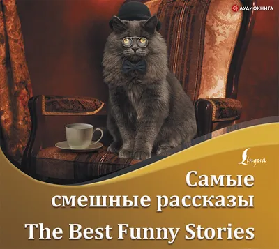 Comedy Pet Photo Awards (Великобритания): самые смешные фотографии домашних  питомцев 2021 (Comedy Pet Photo Awards, Великобритания) | 07.10.2022, ИноСМИ