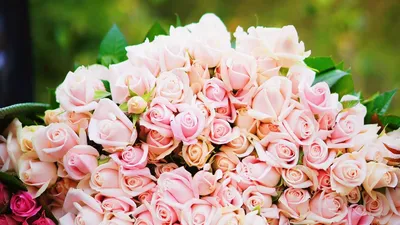 Букет из роз и орхидей Нектар - лучшие букеты с доставкой Рига и вся  Латвия. Теперь заказать цветы с доставкой по Риге можно быстро и удобно
