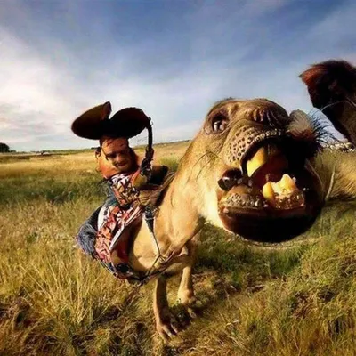 Эй, не проходи мимо! Тут самые смешные фото животных с детьми — Российское  фото