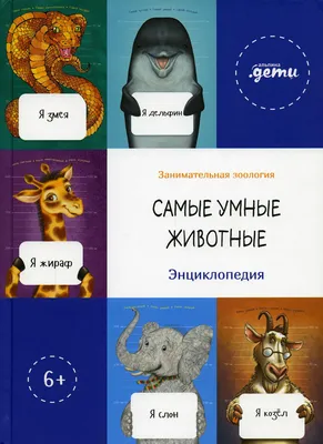 Самые умные породы собак
