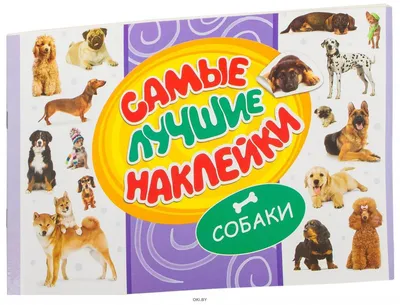 3 самые популярные породы охотничьих собак Грейхаунд (Английская борзая)  Лучшие породы охотничьих собак