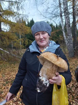 Жительница Башкирии нашла в лесу почти килограммовый белый гриб. Фото | РБК  Life
