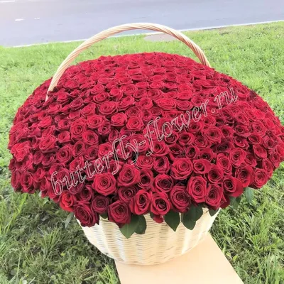 Большой букет из 401 красной розы в плетёной корзине