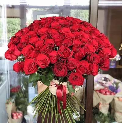 Купить Букет из 101 белой розы в Рыбинске за 10 500 руб. | Быстрая доставка  цветов