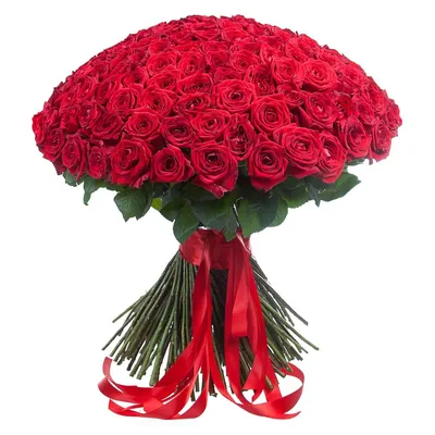 Самый большой букет роз» — создано в Шедевруме