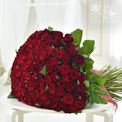 Каталог роз - купить в Москве цветы с доставкой недорого по цене магазина  Во имя розы