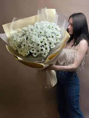 Букет цветов «25 красных метровых роз» заказать с доставкой в Краснодаре по  цене 6 170 руб.