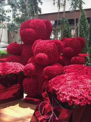 Самый большой букет роз в мире фото