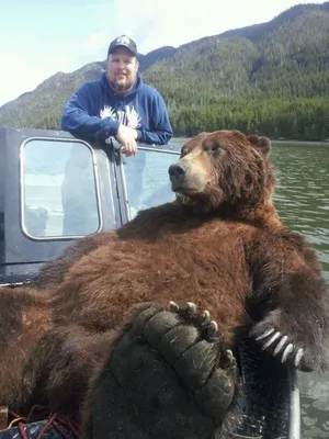 Самый крупный медведь на уникальных фотографиях для вашего сайта