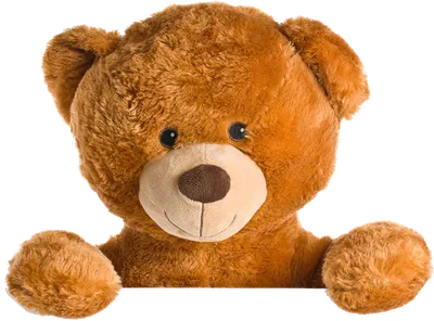 День плюшевого медвежонка. 6 историй о самой популярной мягкой игрушке в  мире | Город | Time Out