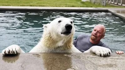 Медведь-император: фотосессия самого большого медведя в мире