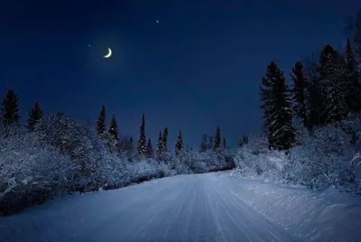 Желаем самых добрых, красочных, чудесных, волшебных сновидений - Лента  новостей Запорожья