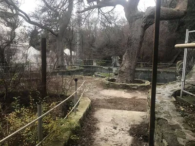 Санаторий Ясная Поляна | Гаспра, Крым. Официальный сайт ГИН-Сервис