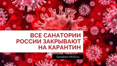 Отзыв о санатории Прогресс г. Сочи, Хостинский район, Краснодарский край. -  часть 5