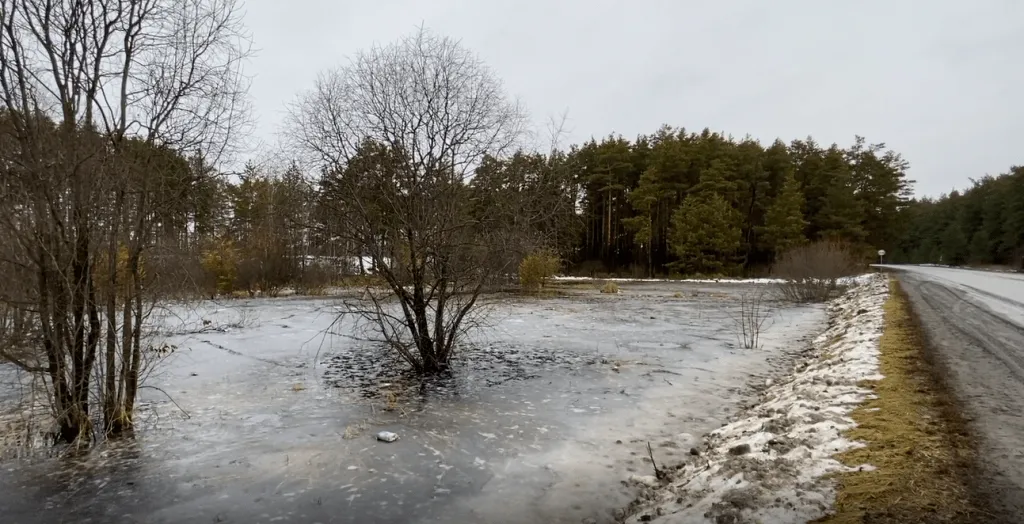 Талица маян. Овраг с водой.