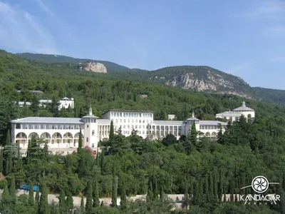 ORLINOE GNEZDO HEALTH RESORT (Ялта) - отзывы, фото и сравнение цен -  Tripadvisor