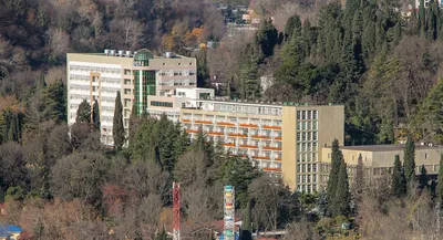 5 Лучших санаториев в Хосте: Отзывы и цены на Tripadvisor