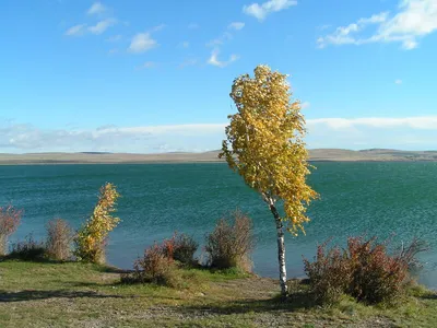 Ширинский район, Республика Хакасия, Сайт газеты \"Ширинский Вестник\", Вся  надежда на туристов