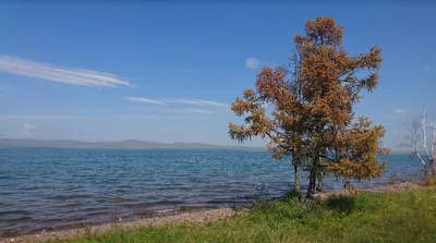 Озеро Шира Хакасия базы отдыха, на карте, санаторий, пляж, фото, как доехать