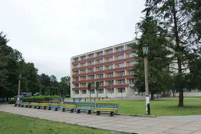 Сосны» санаторий, Могилевская область