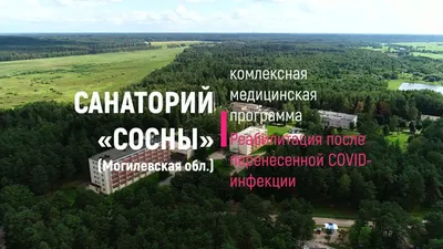 Сосны Санаторий * (Могилёв, Беларусь), забронировать тур в отель – цены  2024, отзывы, фото номеров, рейтинг отеля.